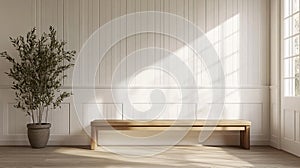 Modern Interior With Wooden Bench And Olive Tree Pot