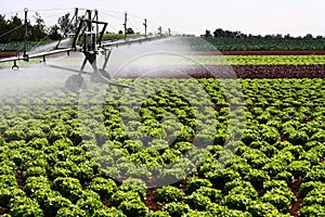 Modern irrigation system photo