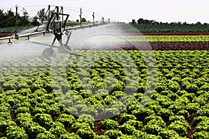 Modern irrigation system