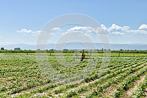 modern irrigation system