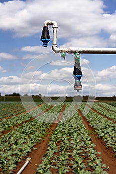 Modern irrigation system - details