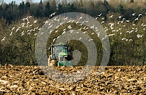 Modern John Deere tractor pulling a plough followed by gulls