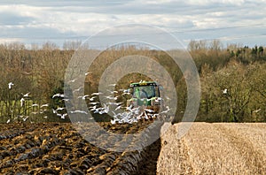Modern John Deere tractor pulling a plough followed by gulls