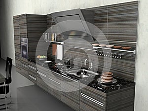 The modern kitchen