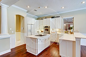 Modern kitchen