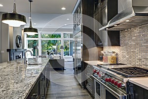 Modern kitchen with brown kitchen cabinets