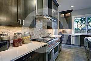 Modern kitchen with brown kitchen cabinets