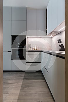 Modern kitchen with built in appliances