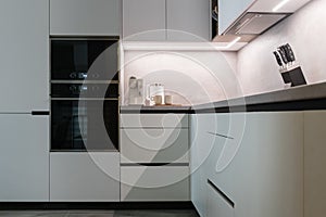 Modern kitchen with built in appliances