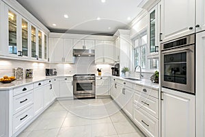 Modern kitchen with built-in appliances and cabinets