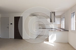 Modern apartment, two doors, kitchen photo