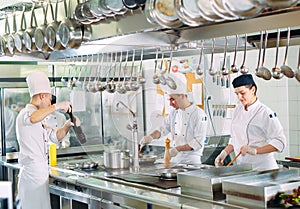 Modern kitchen. Cooks prepare meals on the stove in the kitchen of the restaurant or hotel. The fire in the kitchen.