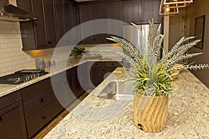 Modern Kitchen Counter Top Island With Plant
