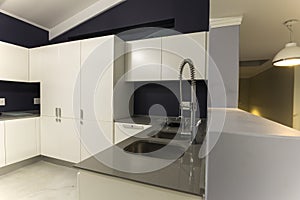 Modern kitchen design tap