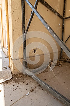 Modern Kitchen with Stainless Steel Sink and Appliances