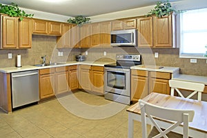 Modern kitchen in the house