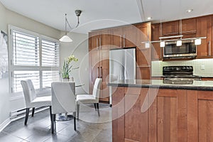 Modern Kitchen Interior