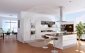 Modern kitchen interior