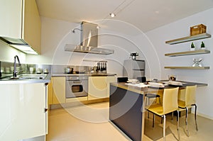 Modern kitchen interior