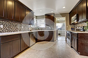 Modern kitchen interior with dark brown storage cabinets