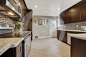 Modern kitchen interior with dark brown storage cabinets