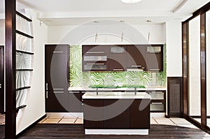 Modern kitchen interior with dark wooden floor
