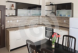 Modern kitchen interior design