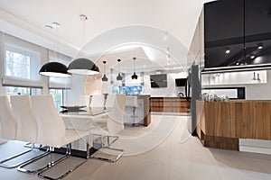 Modern kitchen interior design