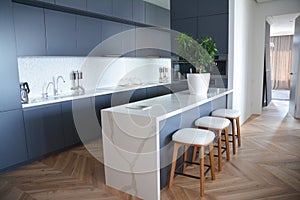 Modern kitchen interior design with hardwood floors in luxury home