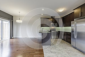 Modern Kitchen Interior Design. North America