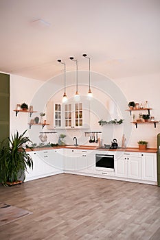 Modern Kitchen Interior with Island, Sink, Cabinets in New Luxury Home.