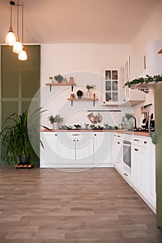 Modern Kitchen Interior with Island, Sink, Cabinets in New Luxury Home.