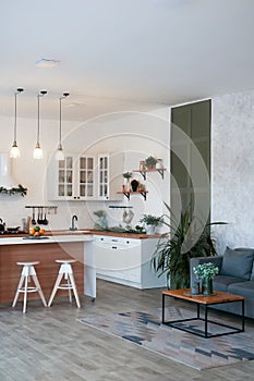 Modern Kitchen Interior with Island, Sink, Cabinets in New Luxury Home.