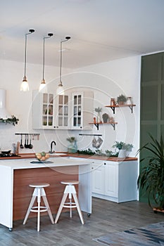 Modern Kitchen Interior with Island, Sink, Cabinets in New Luxury Home.