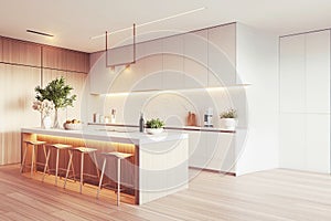 Modern kitchen interior with white walls, wood floors, countertops and wood cabinets. 3D rendering