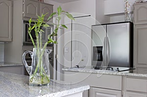 Modern kitchen with jug of bamboo on counter