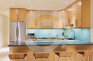 Modern Kitchen