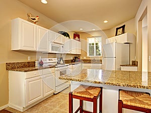 Modern kitchen with marble counters and beautiful decor.