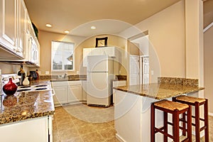 Modern kitchen with marble counters and beautiful decor.