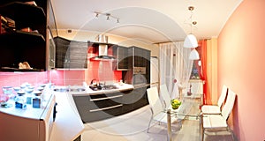 Modern kitchen panorama