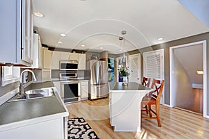 Modern kitchen room interior with stainless steel appliances