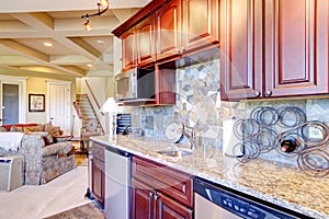 Modern kitchen room with mahogany storage combination .