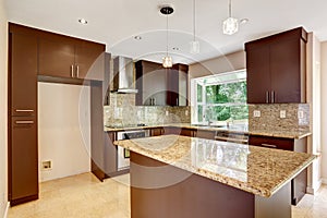 Modern kitchen room with matte brown cabinets and shiny granite