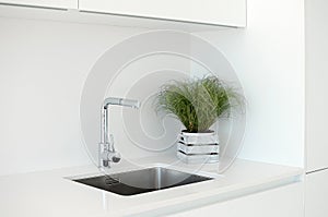 Modern kitchen sink and faucet with decorative flowers.