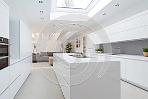 Modern Kitchen with Skylight - Interior Design Perspective