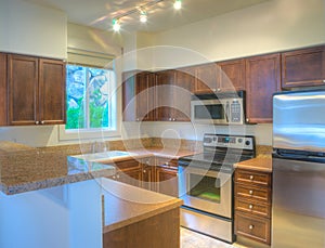 Modern kitchen with stainless steel appliances