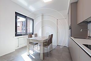 Modern kitchen in total white apartment