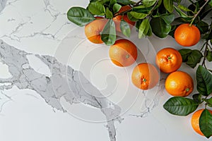 Modern kitchen with white quartz countertop, stylish plant, fresh oranges, and space for text