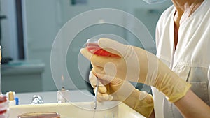 Modern laboratory expert checking genetically modified organisms in Petri dish, human analysis and science concept
