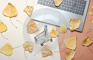 modern laptop, a miniature shopping cart